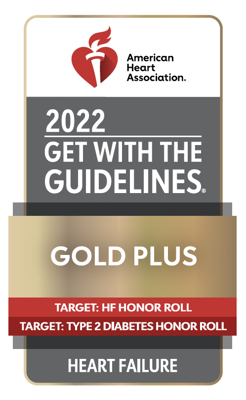 get-with-the-guidelines-stroke-gold-plus-with-target-stroke-honor-roll-and-target-type-2